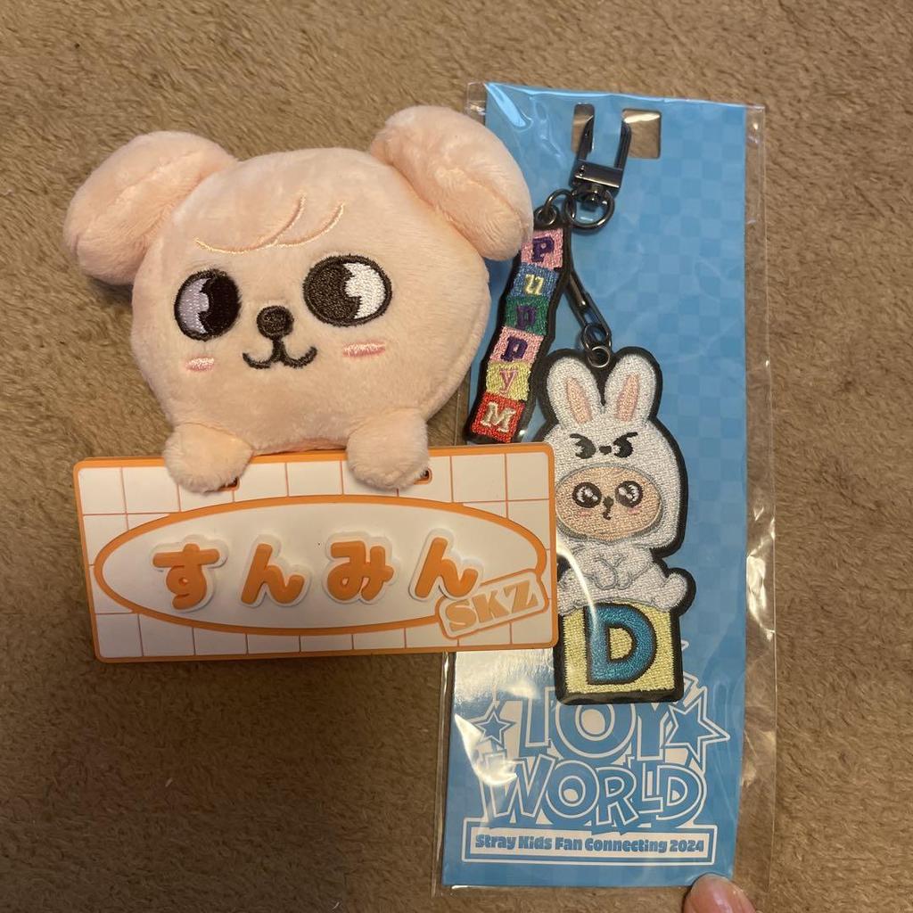 [USED] Seungmin SKZ TOYWORLD Name Badge Charm PuppyM SKZ