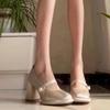 Fashion Women's Chunky Single Shoes Spring New Square Head Shallow Mouth Non-sleep Anti-slip Wear High Heel Mary Jane Shoes