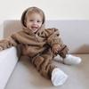 2025 Kids' Autumn/Winter Sweatshirt Set: Casual Hooded Two-Piece for Boys and Girls