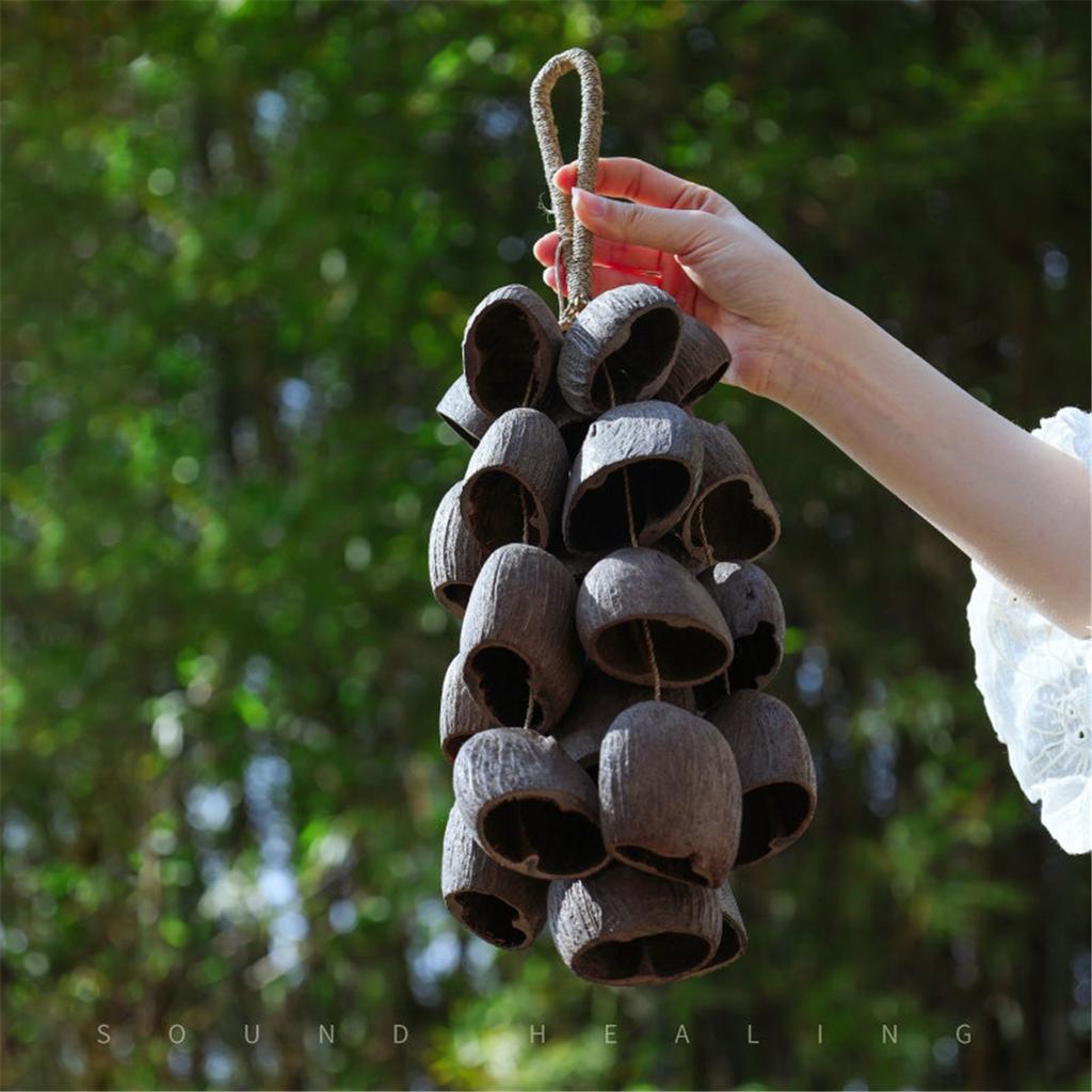 Campanello a Mano Naturale con Guscio di Frutta Guarigione del Suono Campanelli a Vento da Esterno Meditazione Yoga Campanello Spirituale Strumento a Percussione