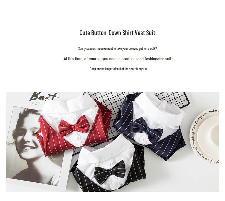 Spring/Summer Suit for Cats & Dogs: Fits Teddy, French Bulldogs, Corgis, and Large Breeds