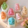 DIY Bunny Shape Chocolate Cookies Baking Molds Cartoon Rabbit Silicone Mold Handmade Aroma Candle Plaster Resin Mould