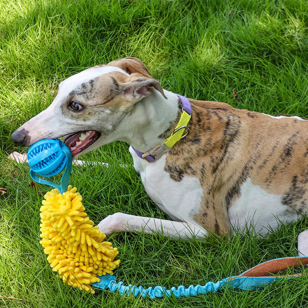 Pet Toys Teeth Grinding Pet Supplies Dog Teeth Grinding Outdoor Training Elastic Pulling Rope Interactive Hidden Food