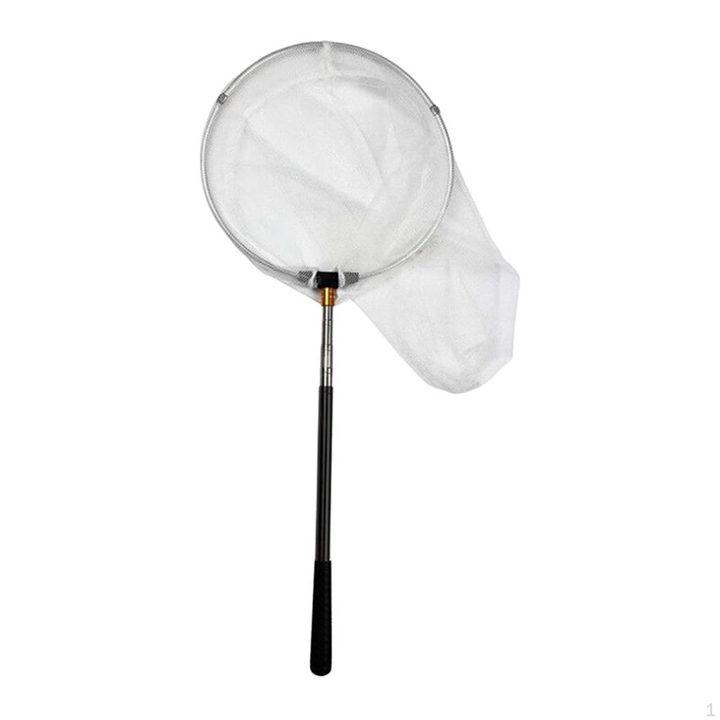 Fishing Net Telescoping Lightweight Landing for Minnow Butterfly Catfish