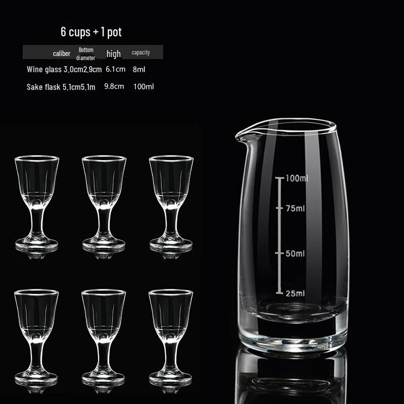 Versatile Glass Wine Decanter & Dispenser Set