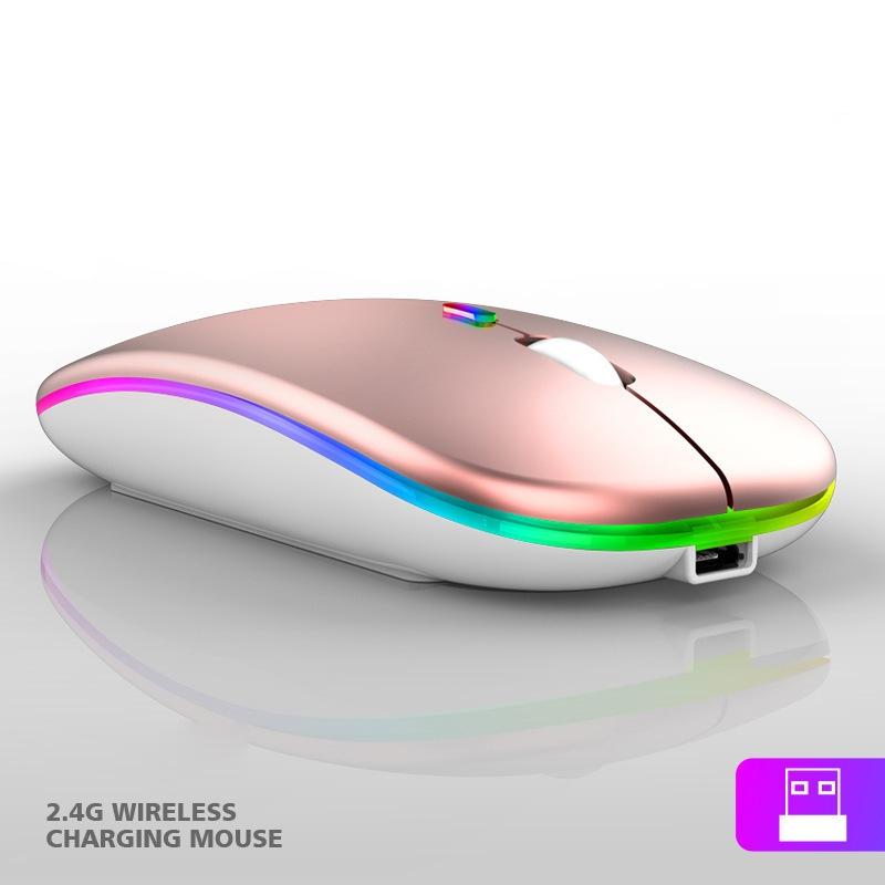 Rechargeable Bluetooth Wireless Mouse with 2.4GHz USB RGB 1600DPI Mouse for Computer Laptop Tablet PC Macbook Gaming Mouse Gamer