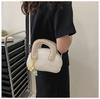 Today's popular niche design bags for women's new women's versatile messenger bags, portable shell bags
