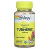 Solaray Fermented Turmeric Veggie Capsules, 100 Count