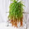 Simulation Spray Color Anchovy Wall Hanging Extra Large Full Persian Grass Green Simulation Fern Plant Vine Vine