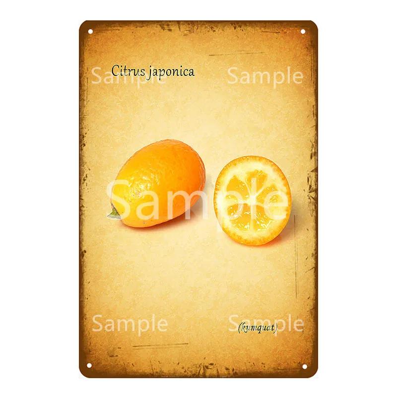 Thatchers Plaque Früchte Bananen Metallschild Vintage Bauernhof Dekoration Heimdeko Wandaufkleber Ladenmalerei Restaurant Poster YL168