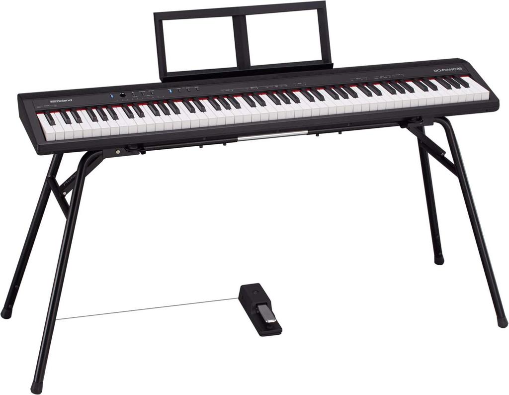 Roland ROLAND Entry Klávesnice Piano Entry Klávesnice Piano 88 kláves GO-88 GOPIANO88