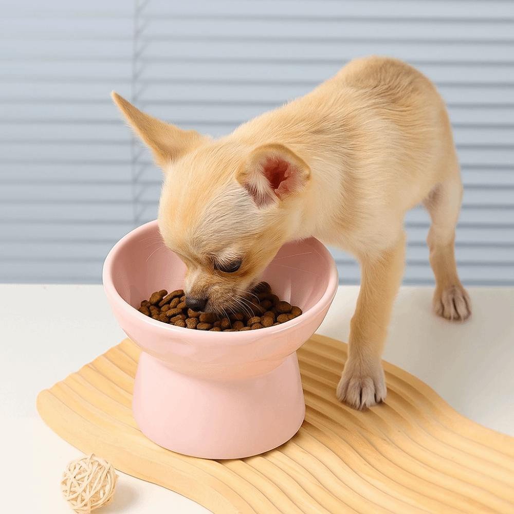 Anti Tipping Cat Slow Food Bowl Slanted Mouth Dog Feeding Basin Pet Drinking Feeder  Kitten Puppy