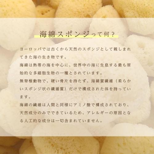 Pair Lab Sponge, Size 4, Small (3-4cm), Professional-Grade Silk Sponge, Fine Textured and Gentle on the Skin (10)