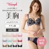 Triumph Beautiful Breast Soft Classy Petals Bra Panty Set Elegant Soft E70 M008 [WEB Exclusive] Bra, & (10215227), Wired, Padded, Design, Material,