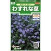 Sakata Seed Misaki Flower Forget-Me-Not Dwarf Blue Seeds 0.2ml - Authentic Japanese Floral Gardening Supplies