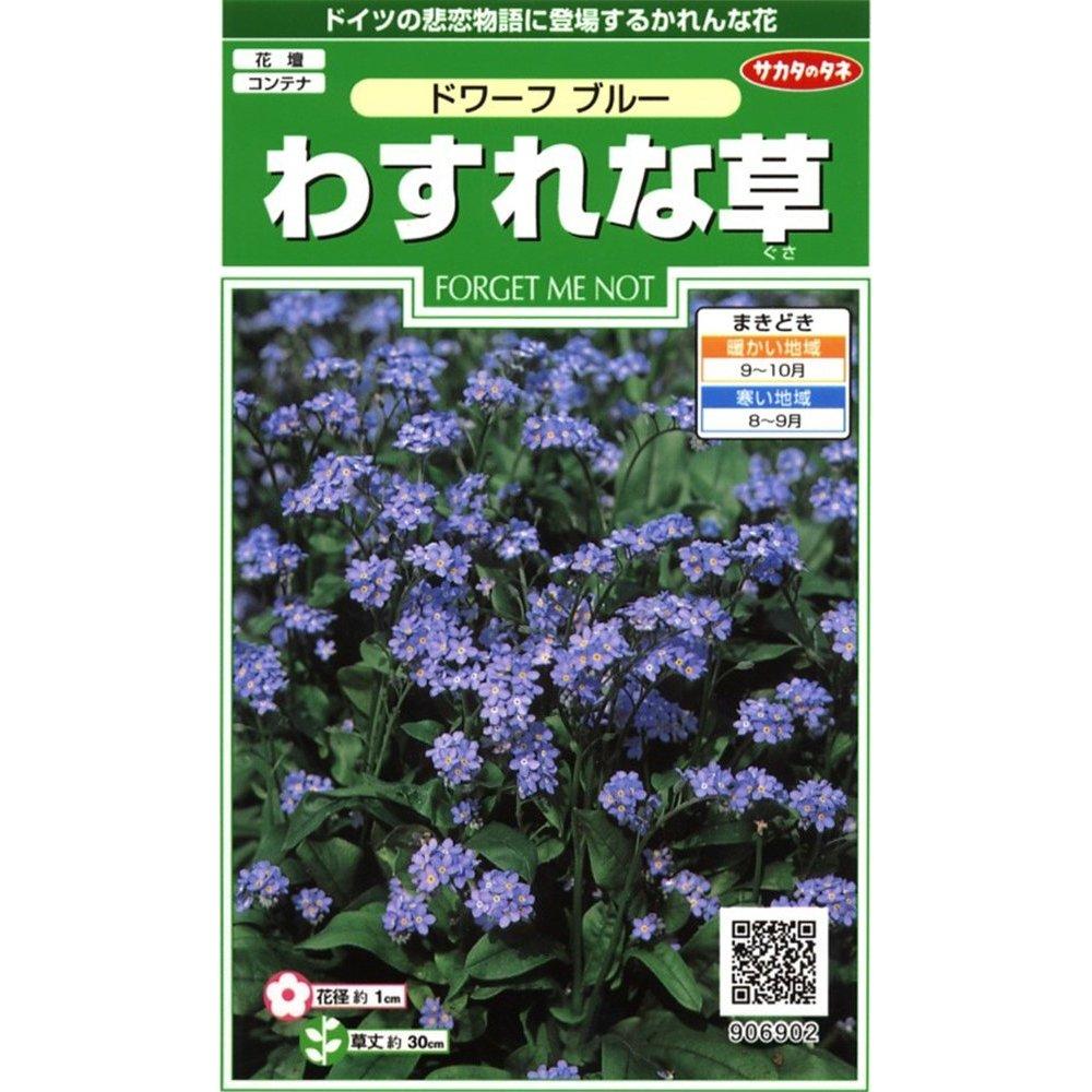 Sakata Seed Misaki Flower Forget-Me-Not Dwarf Blue Seeds 0.2ml - Authentic Japanese Floral Gardening Supplies