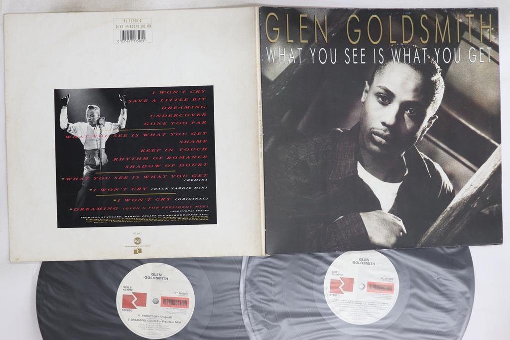 LP Record GLEN GOLDSMITH - What You See Is What You Get PL71750G RCA 1988 UK Dance & Electronica Used