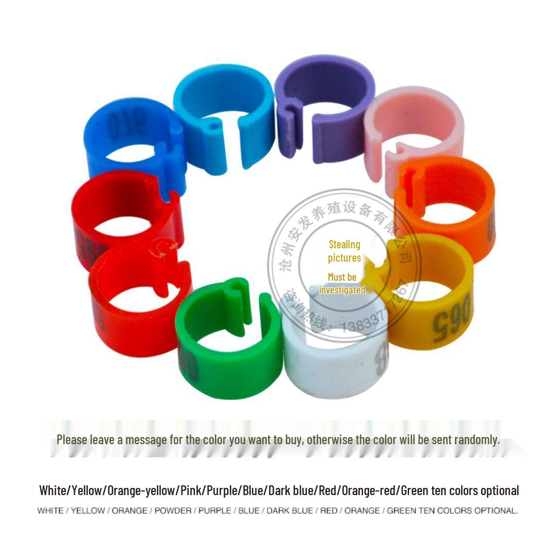 

Pigeon Leg Band: Racing, Poultry, and Homing Bird Identification Ring