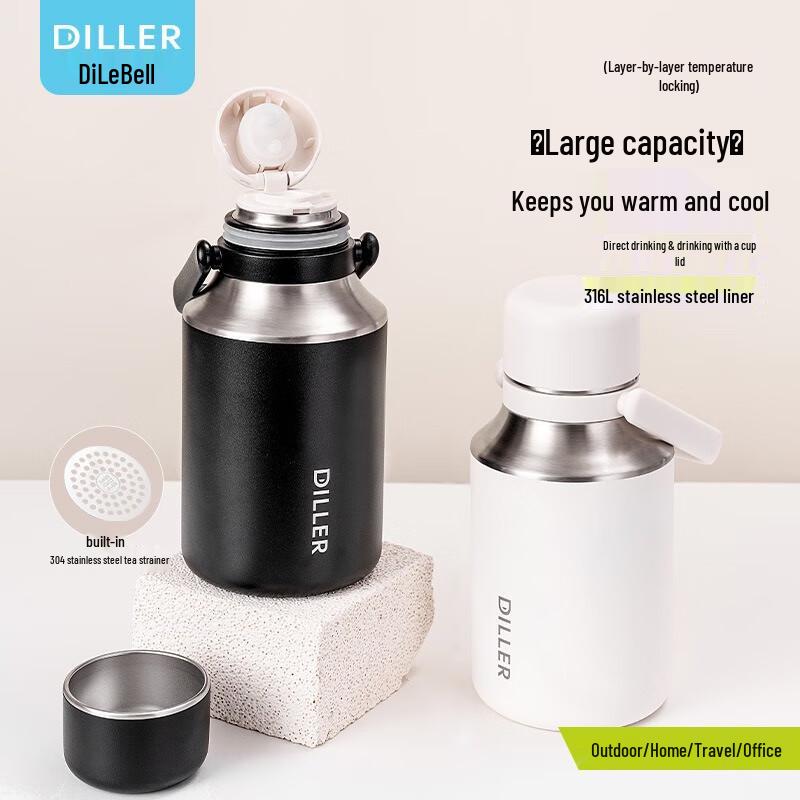 Diller 316 Stainless Steel Insulated Bottle with Handle