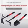 Seashore Gardening Tool Set: Shovel, Hoe, Rake for Planting Flowers & Succulents – Durable High Hardness Tools