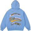 Supreme FW25 Multi Logos Hooded Sweatshirt Unisex SUP-FW25-100