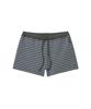 Lense Stripe Micro Shorts Charcoal