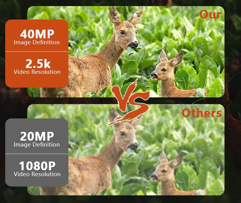 NV-B01 [Binoculars That Can Record At Night]