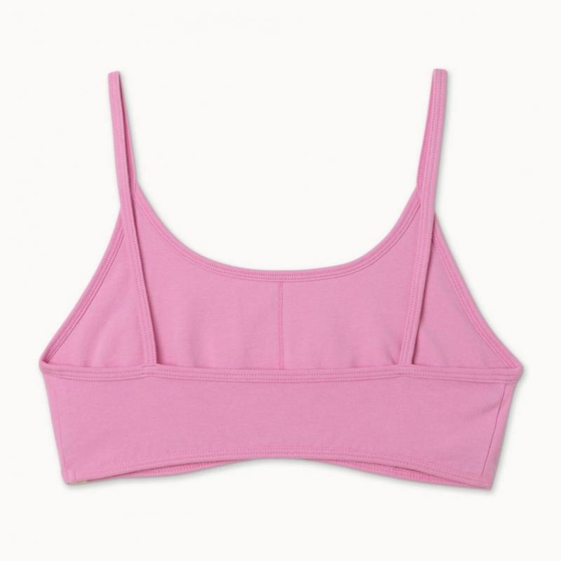 Budhi Mudra Panel Bra Top  B61002atb20 I29 