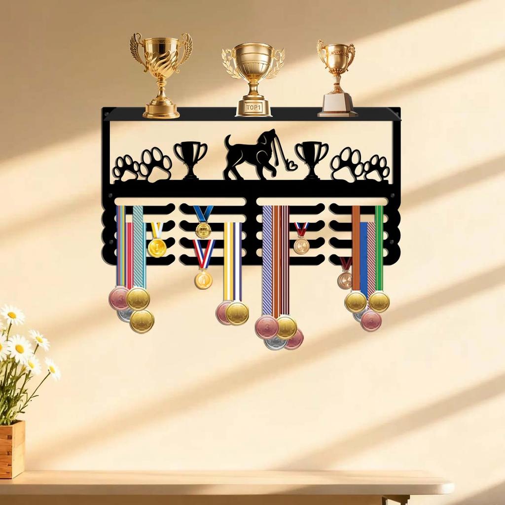 Wall Mounted Display Rack with Hooks, Award Holder for Wall Decoration