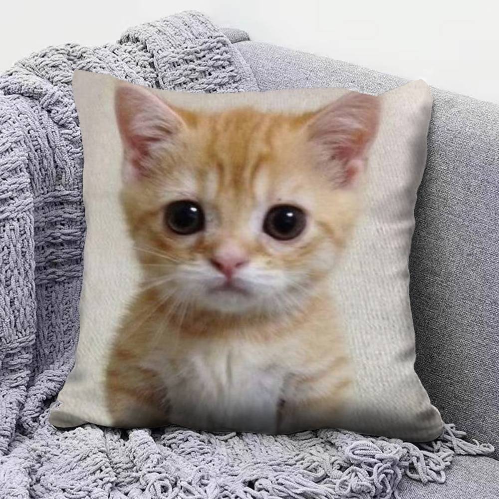 Funny Cat MMeMe Pillow Covers Home Sofa Cushion Covers and Aecorative Custom