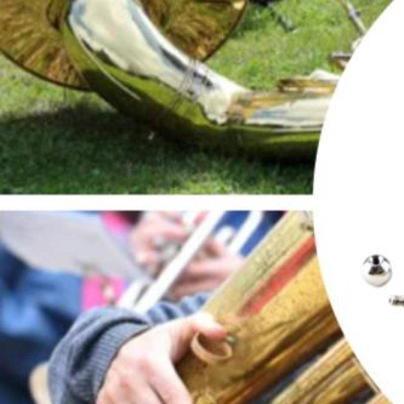 Trombone Neck Maintain Tools with 3 Balls Saxophone Ball Head Tool Sax Neck Maintenance Tool for Saxophone Wind Instruments China Mainland