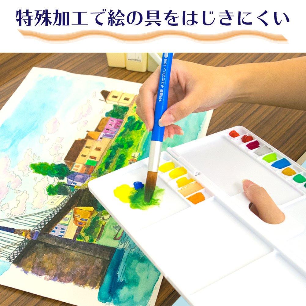 Sakura Crepas Palette 24 Colors Palette 24K