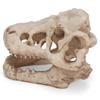 Dinosaur Skull, Fish Box Small Skull Aquarium Decorations Dinosaur Skeletons Aquarium Ornaments Skeleton Hole Artificial Dinosaur Skull Skeleton Orna