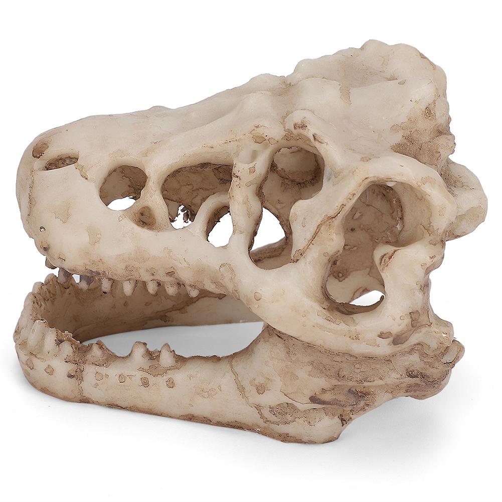 Dinosaur Skull, Fish Box Small Skull Aquarium Decorations Dinosaur Skeletons Aquarium Ornaments Skeleton Hole Artificial Dinosaur Skull Skeleton Orna