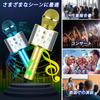 JSS EVN Karaoke Microphone System Handheld USB Rechargeable Portable Speaker Silver with English Manual