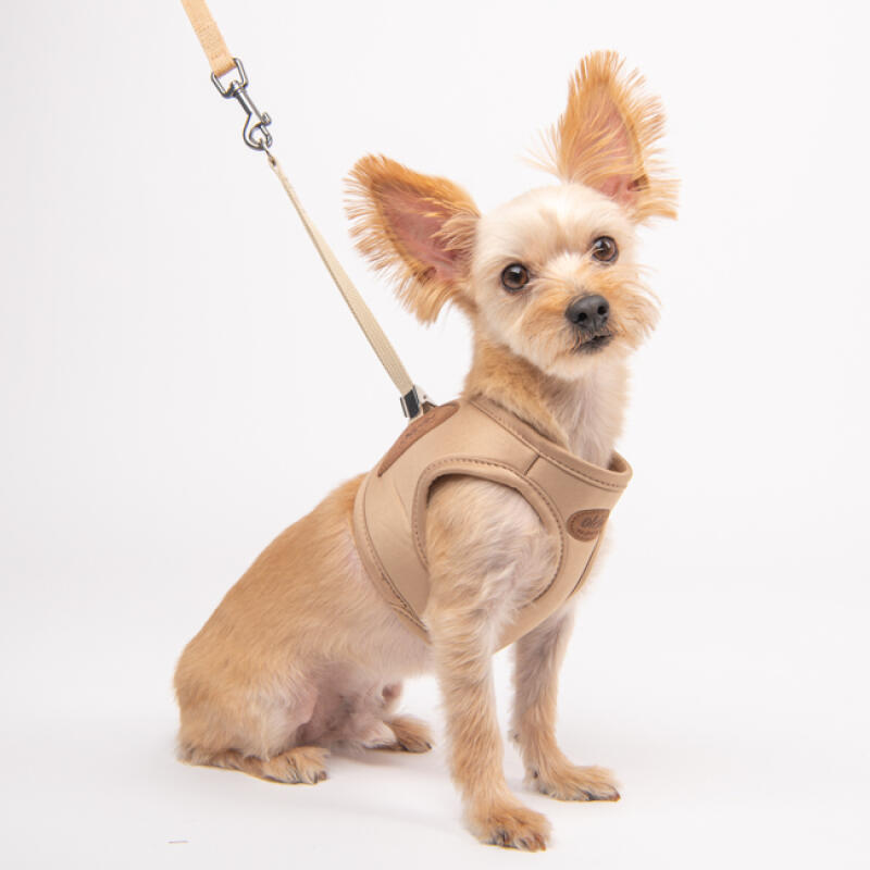 Econature Harness M (OAVA-HQ6275) BLACK