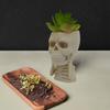 Halloween Skull Flower Pot No See Speak Hear Creepy Skull