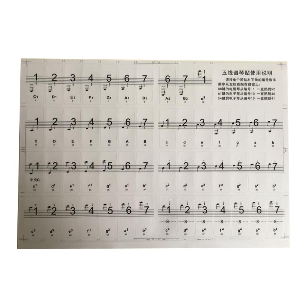 

Piano Sticker Plastic Craftsmanship 61/88 Keyboard Stickers Stave Note Educational Training Supplies Instrument Accessories