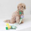 MAISON DE MIU Petsnal Color Leash Mint