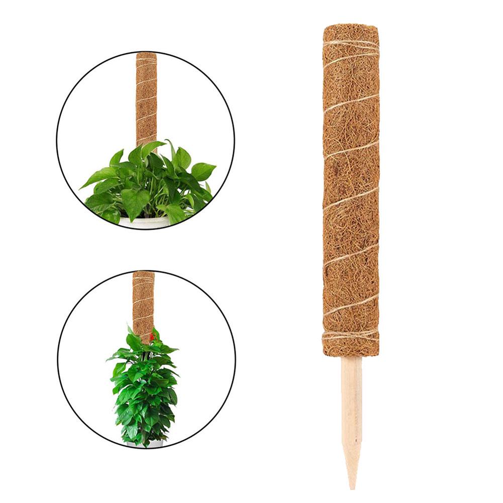 Coir Moss Pole Plant Support Coconut Shell Sturdy Pointed Bottom Coir Totem Pole