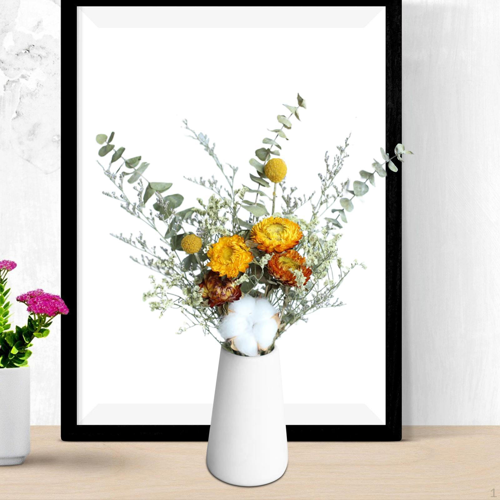 Эвкалипт Декоративные Сушеные Цветы Флористические Поделки Букет для Свадьбы Рукоделие Вечеринка Декор Daisy