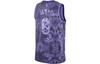 Nike Nba LeBron James Los Angeles Lakers 2022/23 Select Series Jersey FD4093-580