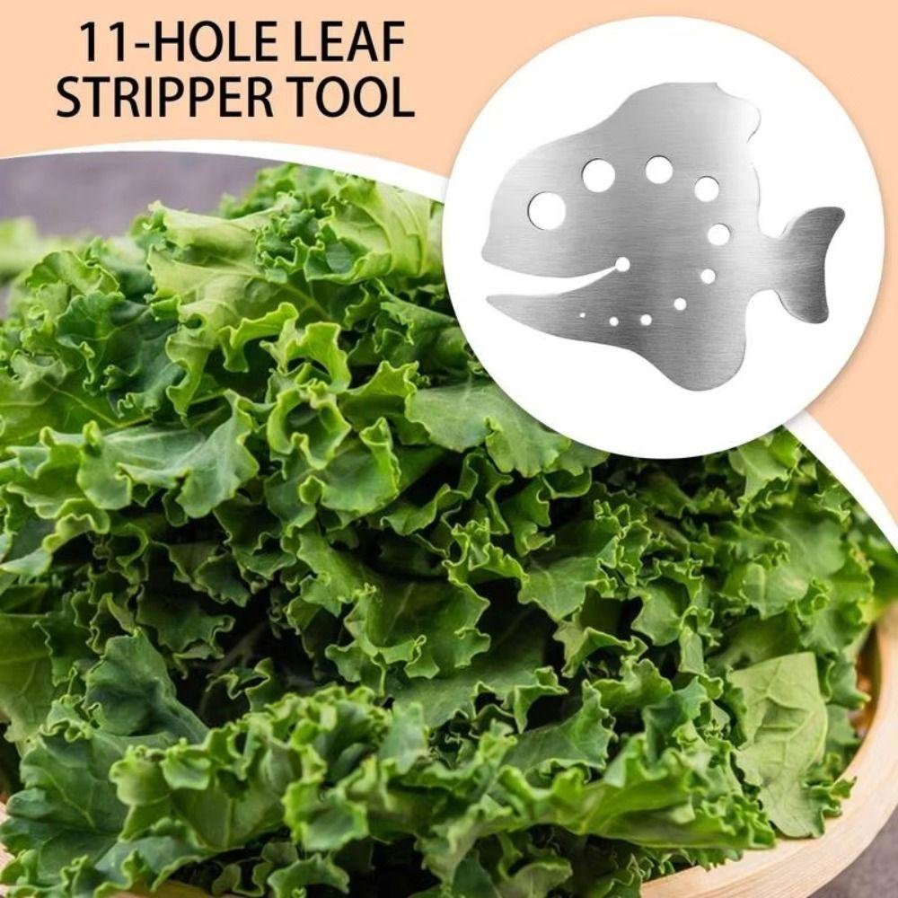 Stainless Steel Vegetable Leaf Separator 11-Hole Leaf Stripper Tool for Preparing Leafy Greens