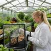 High Transparency Mushroom Grows Tent Clear Observation Panel for Convenient Monitoring and Development Tracking