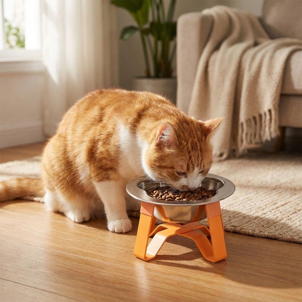 Detachable Pet High Footed Bowl Protect Cervical Spine Dog Drinking Bowl  Pet Feeding