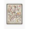 Vintage Antique Book Wall Art Plant Illustration Medicinal Herb Fruit Seaweed Tree Mushroom Canvas Painting Home Decor Gift