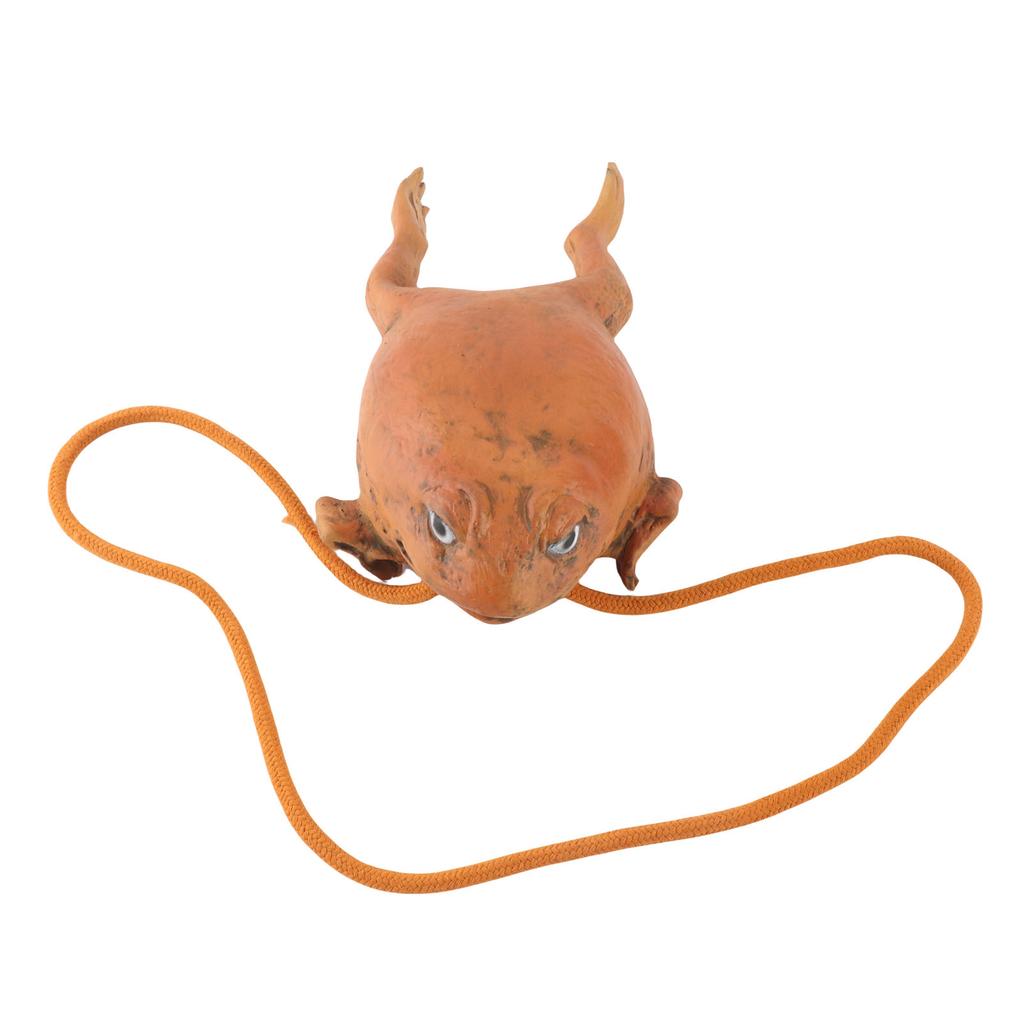 Sugar Cane Toad Full Body Purses Animal Coin Purse Multifunctional Toad Storage Bag Gift for Friends