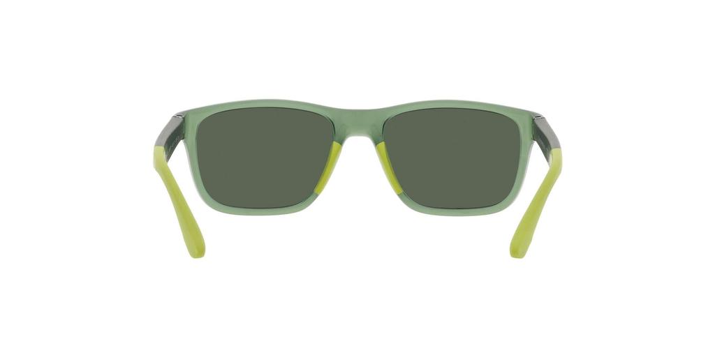 Sunglasses EK4002F Kids SHINY TRANSPARENT GREEN GREEN Lens 48 [Emporio Armani] Frame/DARK