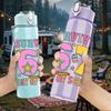 1PC Survived 67 First Day Of School Letter 750ml Color Plastic Sports Water Bottle Leakproof Flip Straw Lid Suitable for Sports Office Home Use
