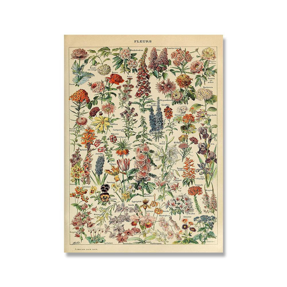 Adolphe Millot Botanisches Poster Blumen Früchte Gemüse Eier Pilze Leinwandmalerei Wandkunst Leinwandmalerei Heimdekor